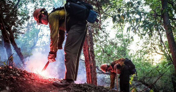 The Importance of Proper Firefighting Footwear