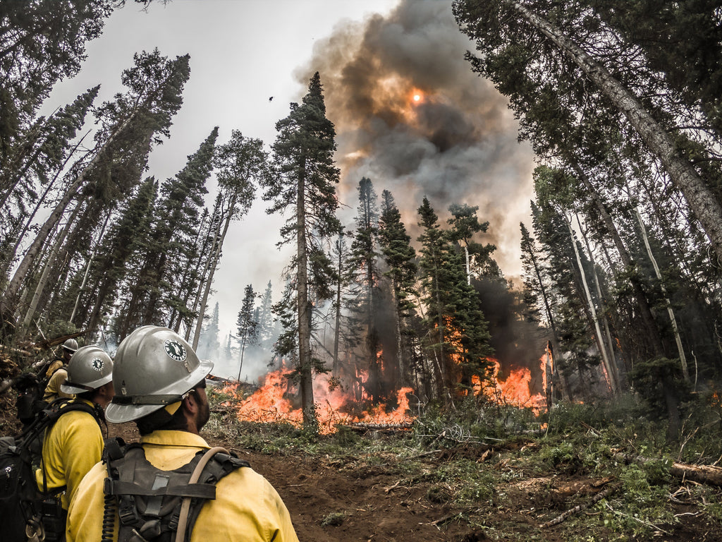 Wildland Firefighting Boots