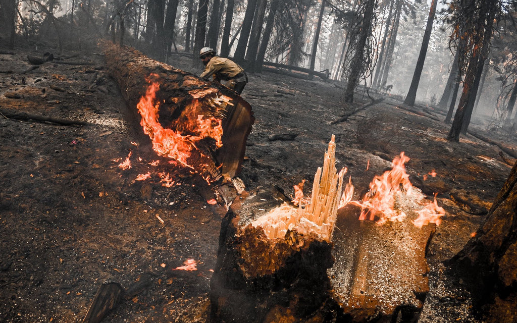 The Smokejumper