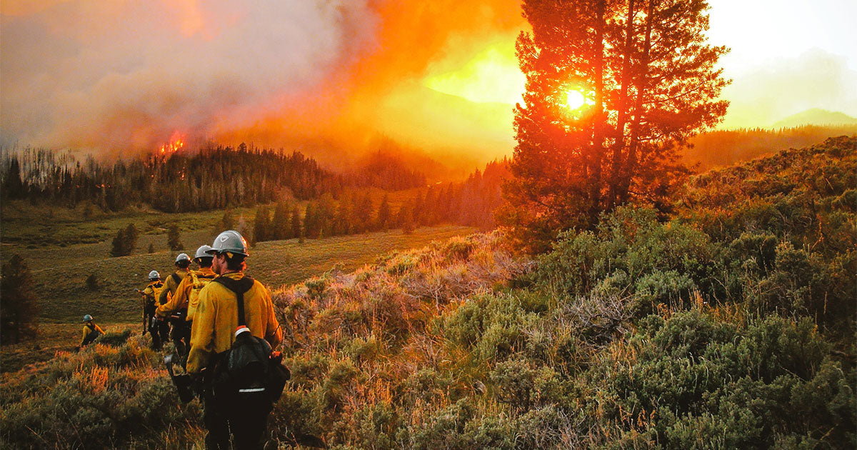 Wildfire gear categories and safety