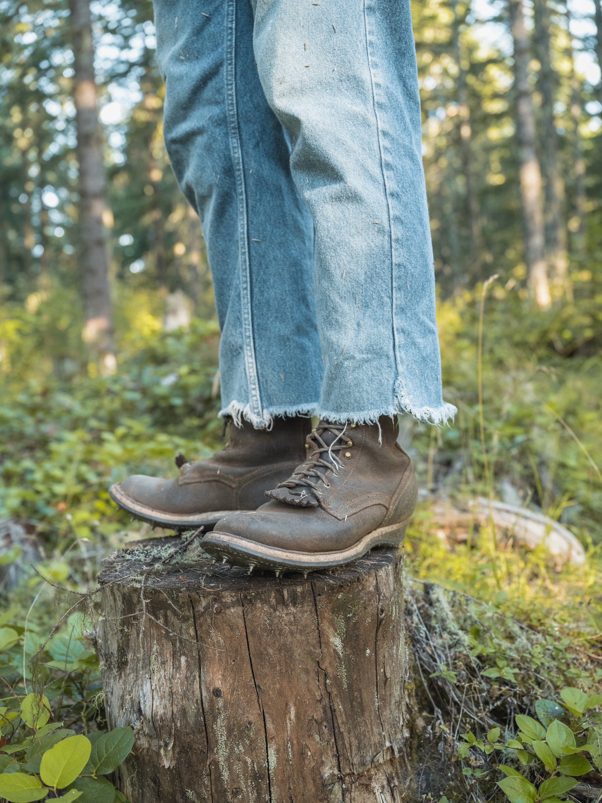 Drew's 10-Inch Leather Logger - Brown Rough Out Work Boots