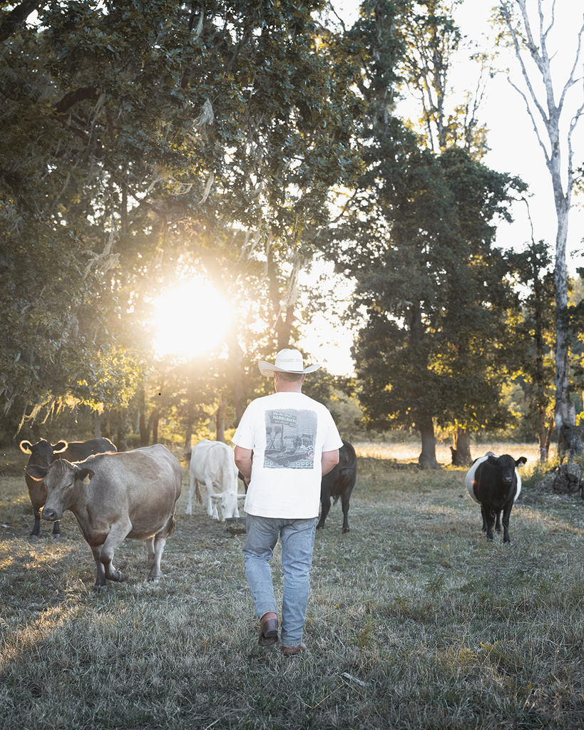 The Trevor Navy | Whiskey - Drew's Boots - Drew's Boots